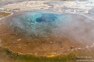 Geysir