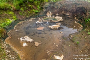 Geysir