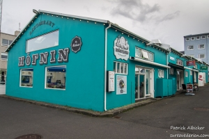 Reykjavik-IMGP5927