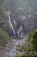 IMGP2581