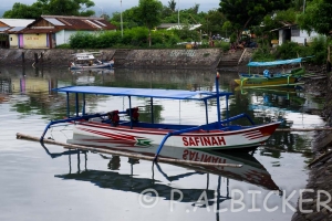 IMGP6575