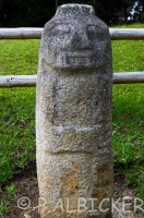 IMGP3453