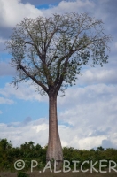 IMGP9489